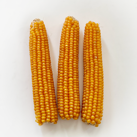Microwave Popcorn on the Cob